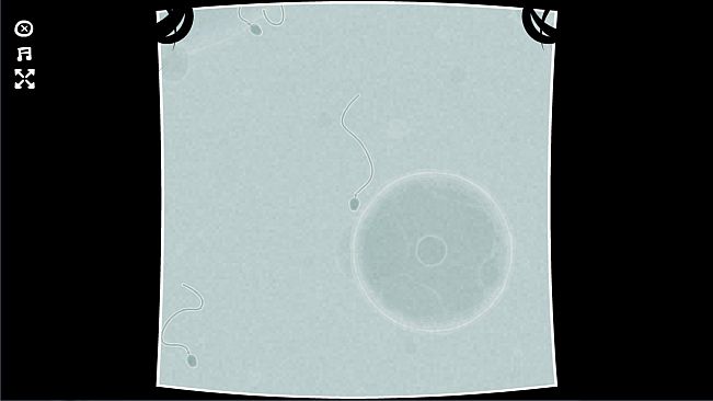 The Basement Collection