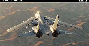 DCS: F-14A/B Tomcat by Heatblur Simulations