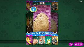 Similo: The Card Game