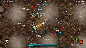 The Journey of Piggy