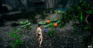 盗墓者手记 The Tomb Raider's Journal