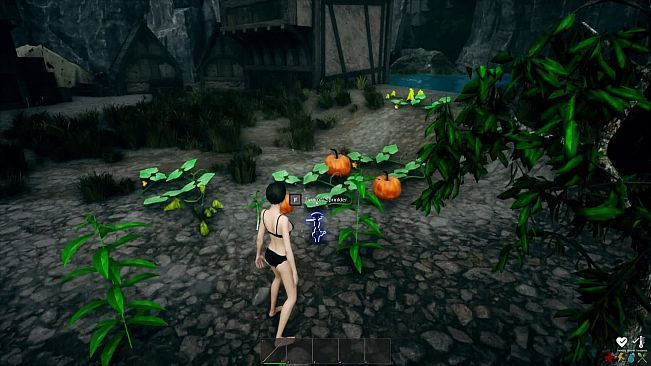 盗墓者手记 The Tomb Raider's Journal