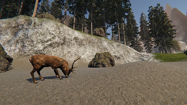 Sagventyr