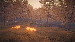 Legacy: the last pure heart