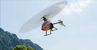 RealFlight Evolution