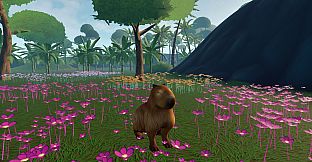 Capybara Simulator