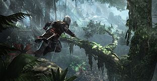 Assassin's Creed IV Black Flag - Crusader & Florentine Pack