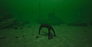 Starfish Simulator