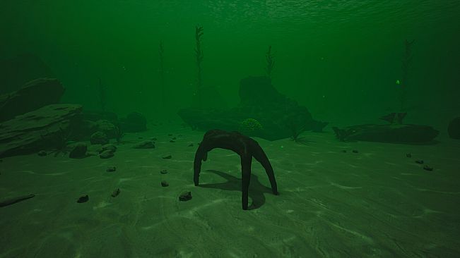 Starfish Simulator