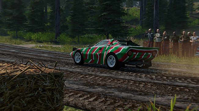 Rally Evolution 2025