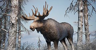 PROJECT HUNT - MANCHURIAN TAIGA