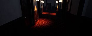 Hotel in the Dark