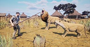 Africa Survival