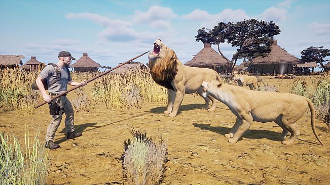 Africa Survival