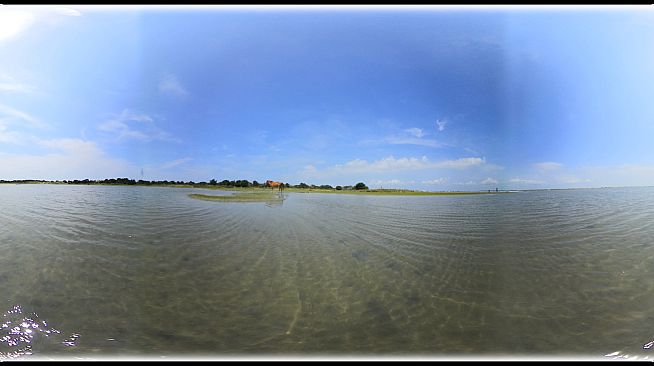 Exhale XR - Majestic Creatures