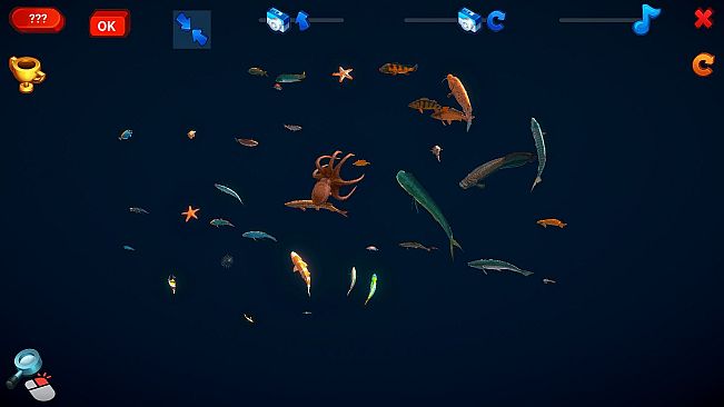 How Much Items - Fishes