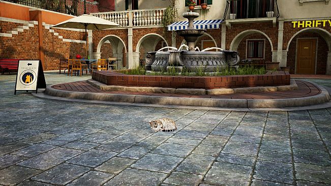 Curiosity: A Cat Climbing Game