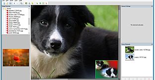 PhotoTangler Collage Maker