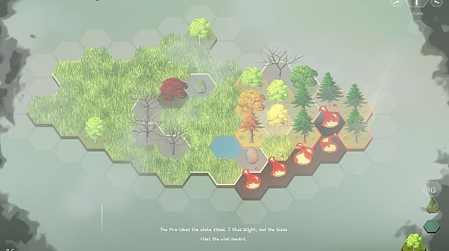 Little Groves