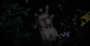 FUSHA2  Nocturnal Fishing