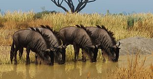 Planet Zoo: Grasslands Animal Pack