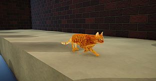 CatMischief