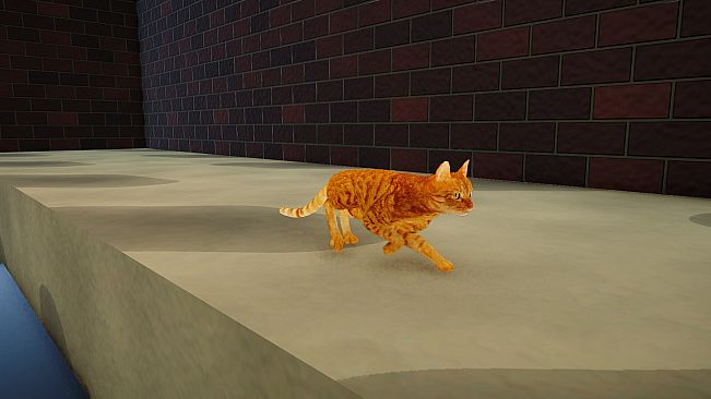 CatMischief