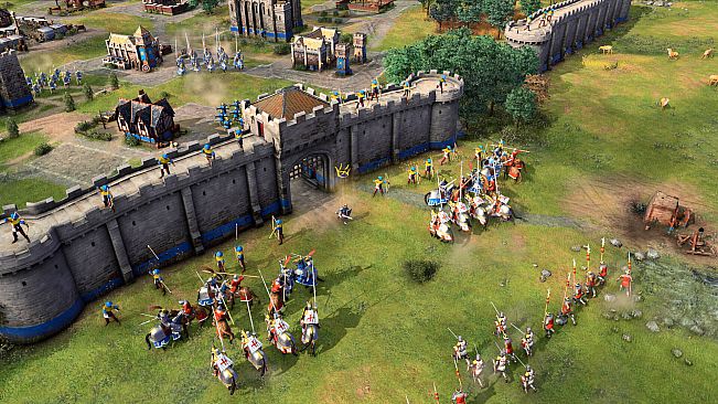 Age of Empires IV: Knights of Cross and Rose 