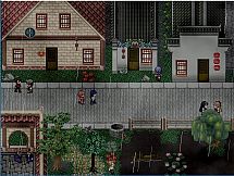 The Fruitless Flower 雾雨中的徒花