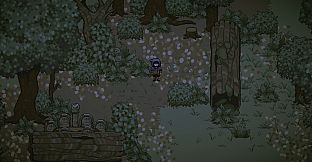 Town of Cinders