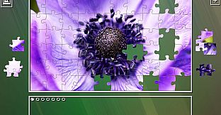 Super Jigsaw Puzzle: Generations - Random Puzzles 4