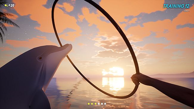 Dolphin Trainer VR