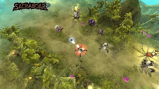 Sacraboar