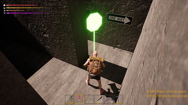 The Maze Survivor: The 9th Entrants