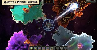 Houston, We Have a Spungus