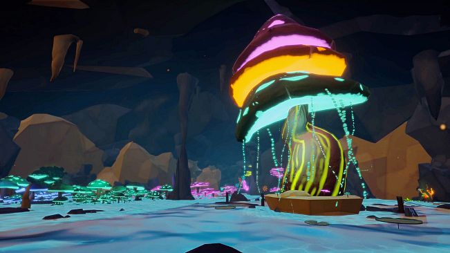 SONDER: Embrace The World