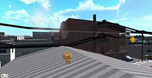 A Wonderful Cat Life