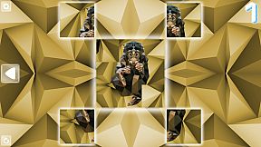 Poly Puzzle: Primates