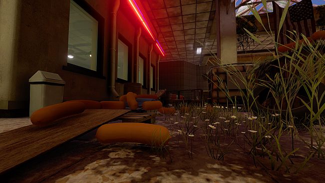 Hotdog Delivery Hotdog