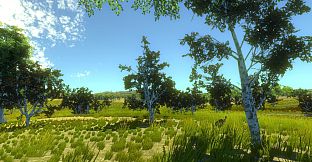 Turkey Hunting Unlimited