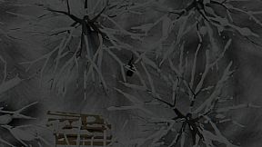 Pavel Repin's Collection