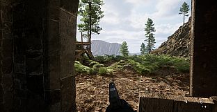 Swords and Guns
