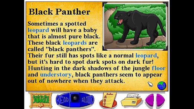 Let's Explore the Jungle (Junior Field Trips)