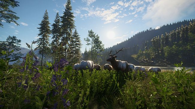 theHunter: Call of the Wild - Silver Ridge Peaks