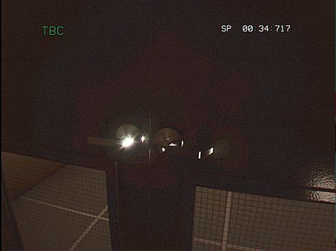 Cameraman: The Pilot Episode