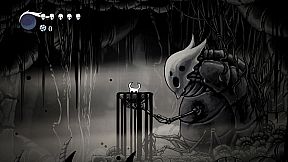 Hollow Knight