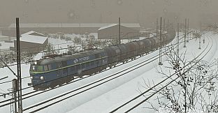 SimRail - The Railway Simulator: Cargo Pack