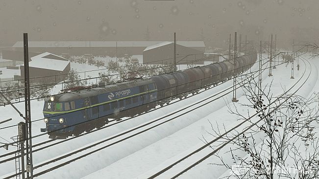 SimRail - The Railway Simulator: Cargo Pack