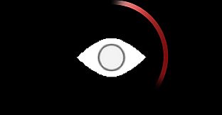 BLINDSIGHT