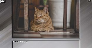 Super Jigsaw Puzzle: Generations - Cats Puzzles